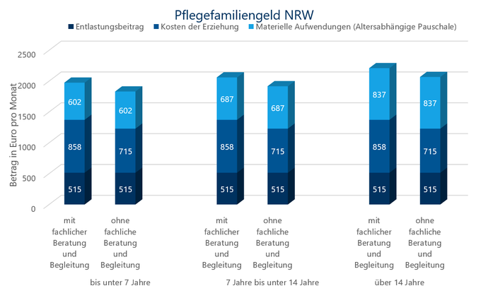 Diagramm der Zusammensetzung des Pflegefamiliengeldes