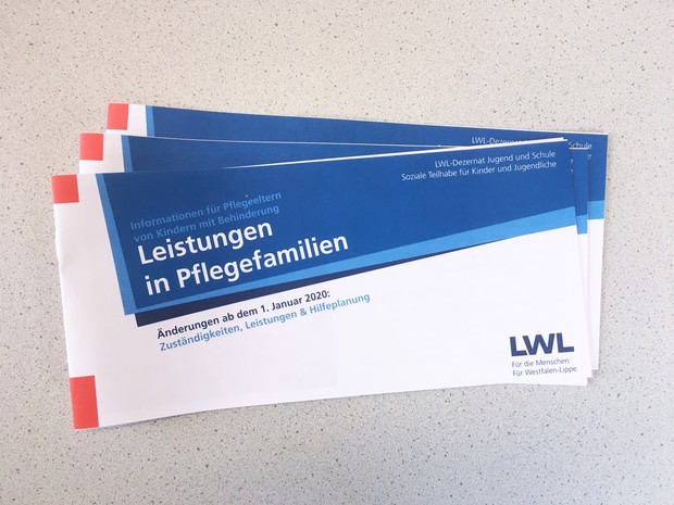 Der LWL Flyer als PDF-Datei zum Download Der LWL Flyer als PDF-Datei zum Download